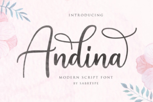 Andina Script: A Modern Script Font