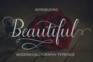 Beautiful Script Font for Web Design