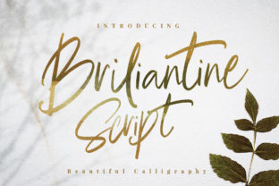 Briliantine Script: A Calligraphy Font That Elevates Small Brand Identity