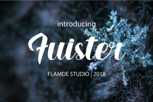 Fuister Script: An Honest Review for Real Design Work