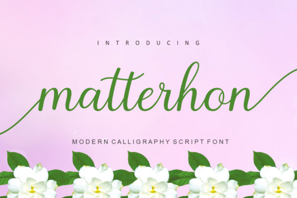 Matterhon Script: A Designer's Practical Review for Real-World Use