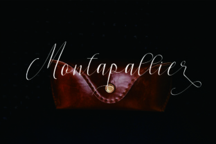 Montapallier Script: A Elegant Font for Web Design