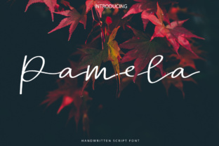 Pamela Script: A Stylish Font for Creative Projects