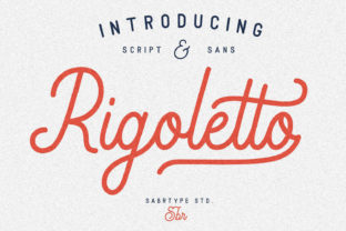 Rigoletto Script: A Playful Elegant Font for Handmade Products