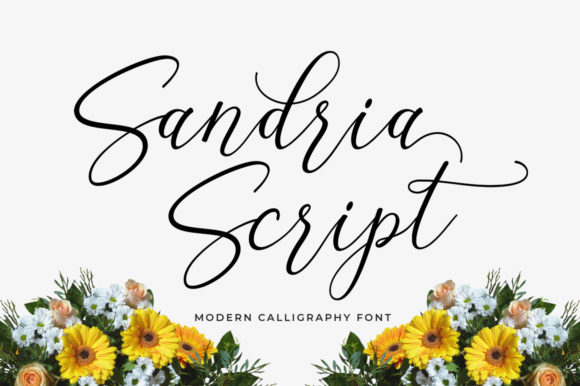 Sandria Script: Elegant Font for Digital Marketing